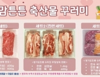 기사이미지